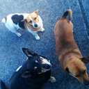 Adrian Mac - @adiemac51148 - Twitter