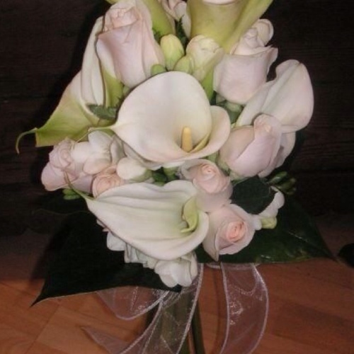 omaromh's profile picture. 