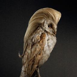 DuyguBucak's profile picture. 