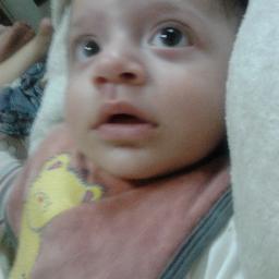 MosMoubark's profile picture. 