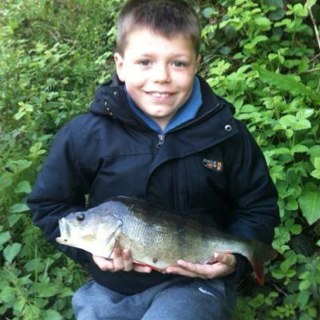 Fishing, Boxing, Bikes, Stunt Scooter, Skate Board, F1 And Port Vale.