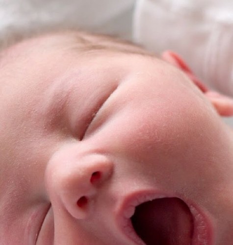 sgx7993d's profile picture. 