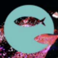Kettle (@kettlestudio) 's Twitter Profile