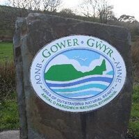 Gower Peninsula (@therealgower) 's Twitter Profile