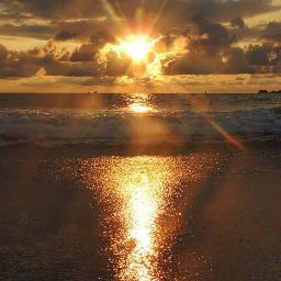 cosmos810's profile picture. 진리 자유 평화