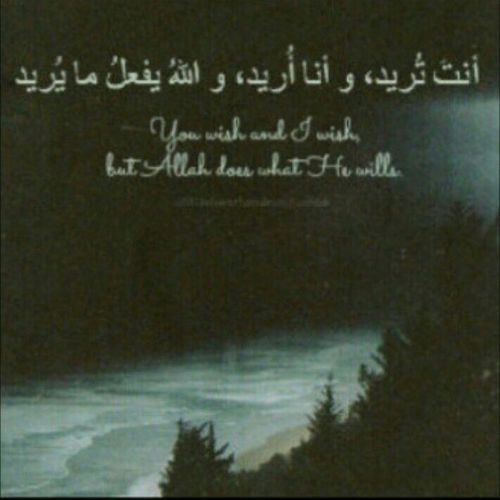 كبرتُ بعدك دهراً يا أبي ..