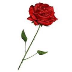 RedRoseRes's profile picture. Professional Genealogist and Historian based in the Red Rose county of Lancashire