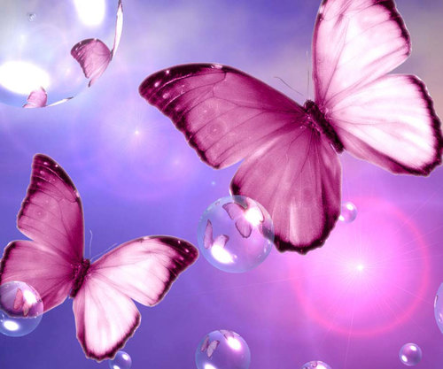 ** everyday_is_a_memory **