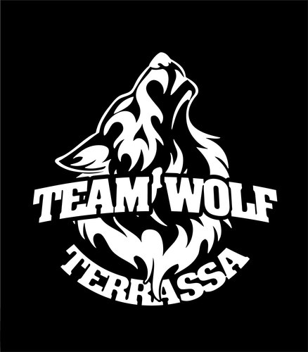 Grupo de airsoft