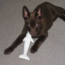 bev gregory - @pepperkelpie20 - Twitter