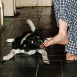 DeirdreMcIn's profile picture. 