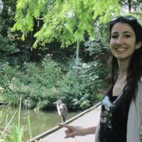 Nazlı Ayhan (@nazliayhann) 's Twitter Profile