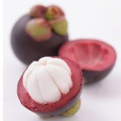 Tout savoir sur le Jus De Mangoustan