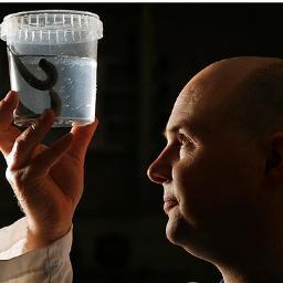 Leech Farmer , Brewer of Fine Beer , Lover of Culinary Excellence