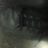 fulgorini's profile image