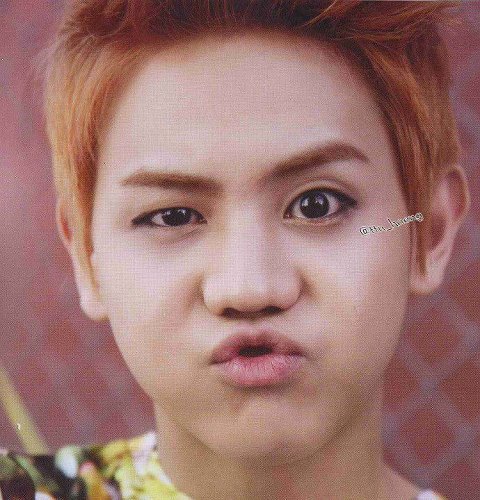 เปลี่ยนมาใช่บอทเดิม ฟอลมาคุยกันเยอะๆนะคับบบบบบ  รักนะ @ZELO_Baby90