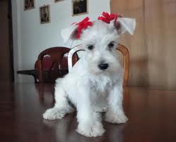 25_janed's profile picture. 