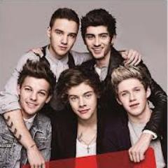 DIRECTIONER........3