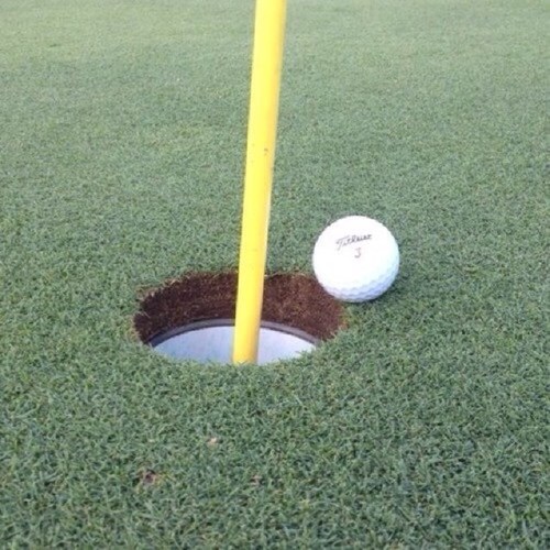 GolfLovers4's profile picture. 