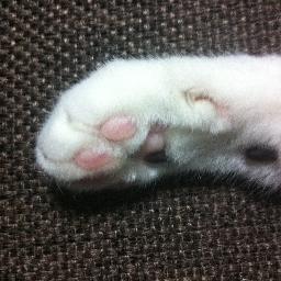 最近読んだ本のレビュー。