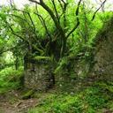 Tree Evan - @tree_evan - Twitter