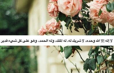 صديقتي لم تفارق الحياة بعد أطال الله في عمرها وهذه أصغر هديه يمكنني تقديمها لها،  يارب فاجئها يوم القيامه بحسنات تتضاعف♡