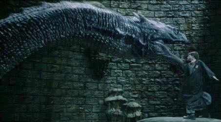 kocakorang999's profile picture. 