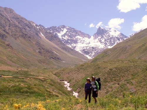 PaolaCorrea's profile picture. Los bosques serían demasiado silenciosos si sólo cantaran los pajaros que mejor lo hacen...