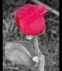 dmjonak's profile picture. Getalife.