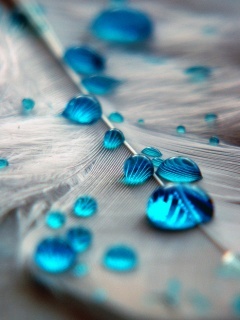 logan24_'s profile picture. M.P.