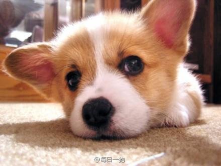 jasen0127's profile picture. 