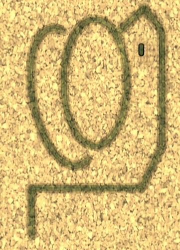 ChittuViggy's profile picture. 