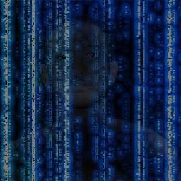 Information Technology Delvelopment