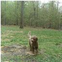 Norma Lantz - @NormaAnnette - Twitter