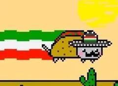 I am TACO CAT!!!!!!!!!!!!!!Also The Video's And Picture's I Post Have The Taco Cat Stamp Of Approval! :D