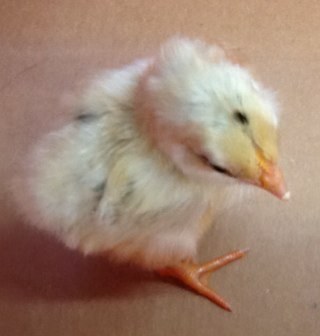 MsGThill's profile picture. 