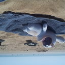 bernard renaud - @leonidas498 - Twitter