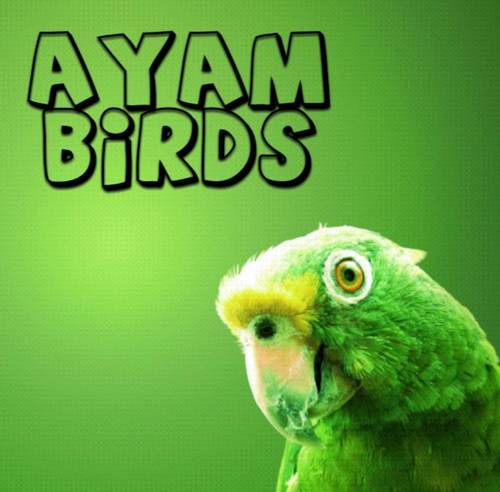 بيع و شراء الطيور في البحرين و عرض معلومات و نصائح حول الطيور
 التواصل عبر :
Whatsapp:32235443
ayam.birds@gmail.com
Instagram:@ayam_birds
Kik:ayam_birds