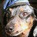 992Wire (@330electricians) Twitter profile photo