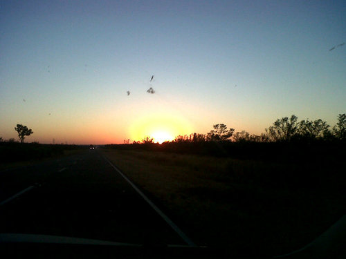 Majomacaione's profile picture. 