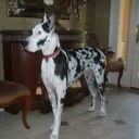 Your Momma - @MommaClubfrat - Twitter