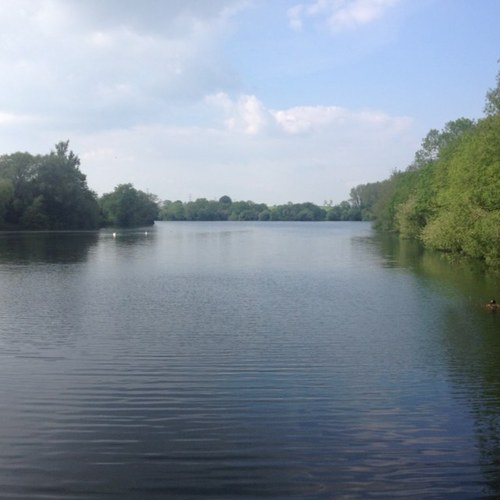 Hyde Lane Lakes