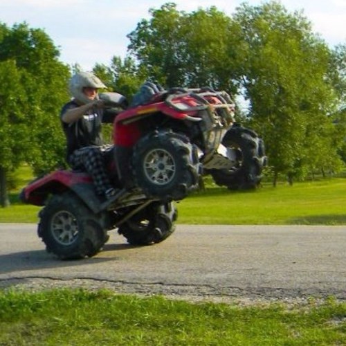 Dorgie204's profile picture. This day wont be as good as the next