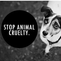 Speak up for those birds who can't.