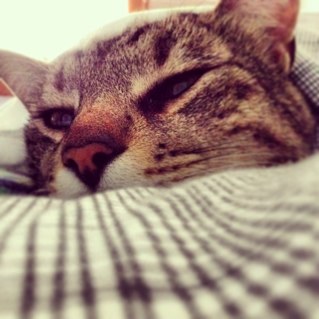 libeccio82's profile picture. 