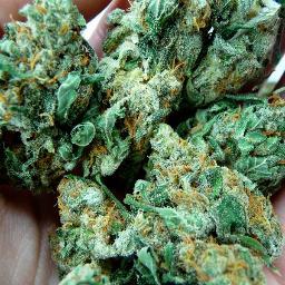 make bank smoke dank.