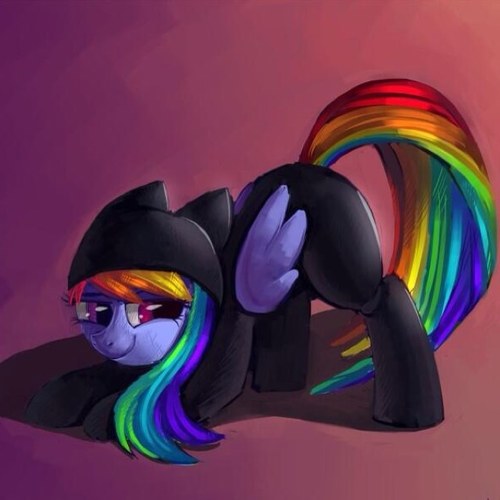Hey I'm RainBow Dash I'm A Fun Pony I Love My Friends And Playing Playing Around. PonyVille