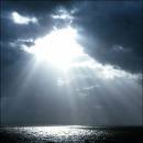 Follow_Mohammed's profile picture. 