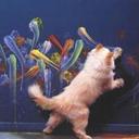 Maureen Hedrick - @richterMEH - Twitter