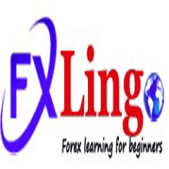 http://t.co/ddJHSN20uG-The best online Forex learning portal on the Web.Our goal is to make you a successful Forex trader and you just need to stay with us.